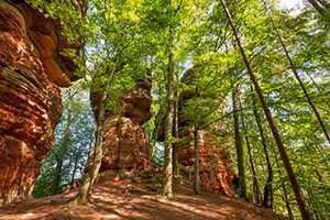 Wandern Pfalz - Die schönsten Wanderideen im Pfälzer Wald 1